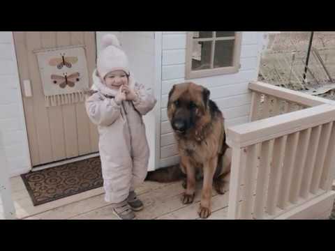 4IQ - Mediniai pasakų nameliai ir žaidimų aikštelės