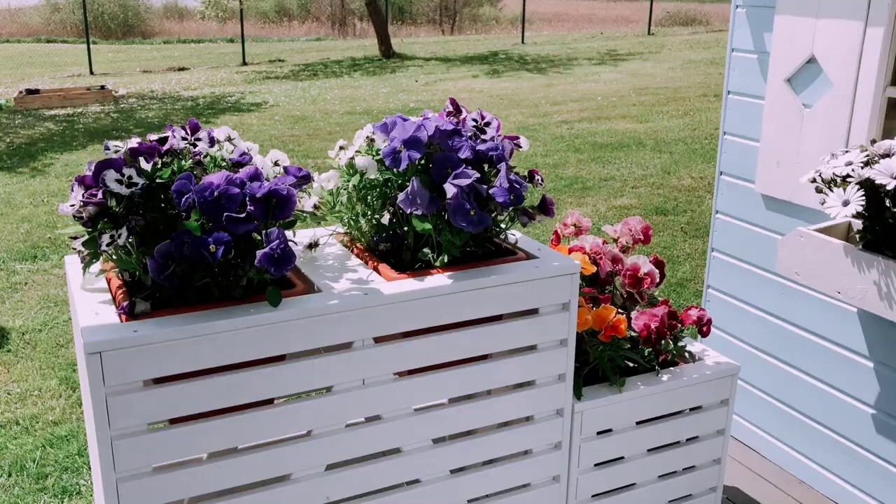 4IQ - mediniai gėlių vazonai