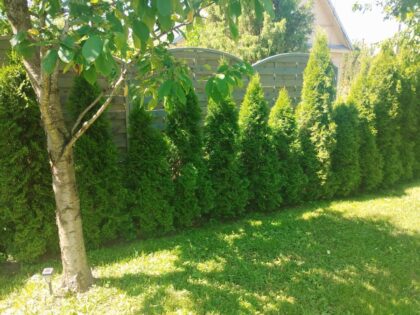 Medinės tvoros segmentas 44-2, 180 x 180 / 160 cm - Image 5