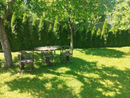 Medinės tvoros segmentas 44-2, 180 x 180 / 160 cm - Image 7