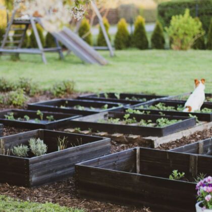 Medinė lysvė 115 x 85 x 26 cm, juoda