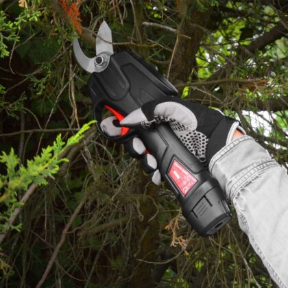 Secateur 7.2V Batt.Lith.+Manche Telesc.