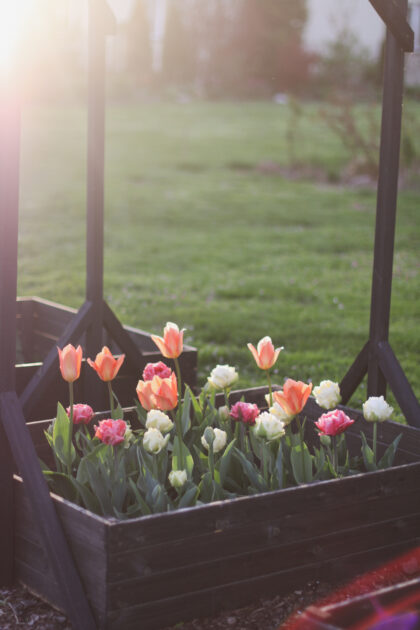 Medinė lysvė 80 x 80 x 27 cm, juoda - Image 9